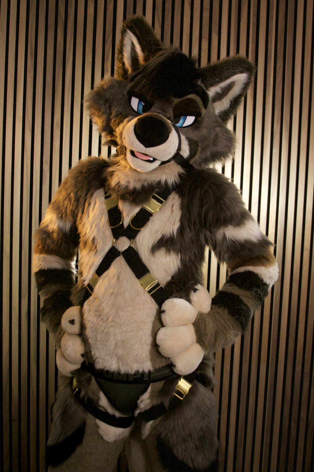 View Gallery Post ID 1033 by araety-kintaey-photography