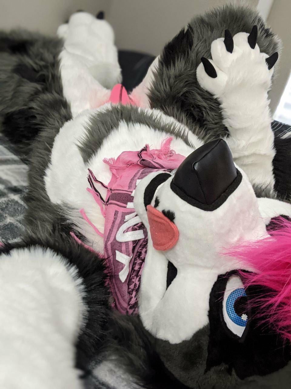 View Gallery Post ID 1038 by araety-kintaey-photography