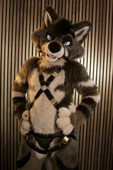 View araety-kintaey-photography's Gallery