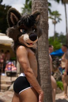 View araety-kintaey-photography's Gallery