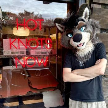 View araety-kintaey-photography's Gallery