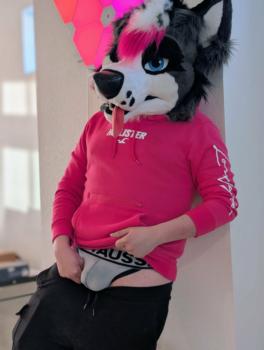 View araety-kintaey-photography's Gallery