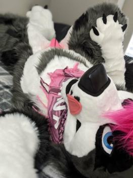 View araety-kintaey-photography's Gallery