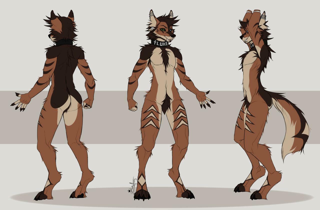 View Gallery Post ID 26 by creation-assets