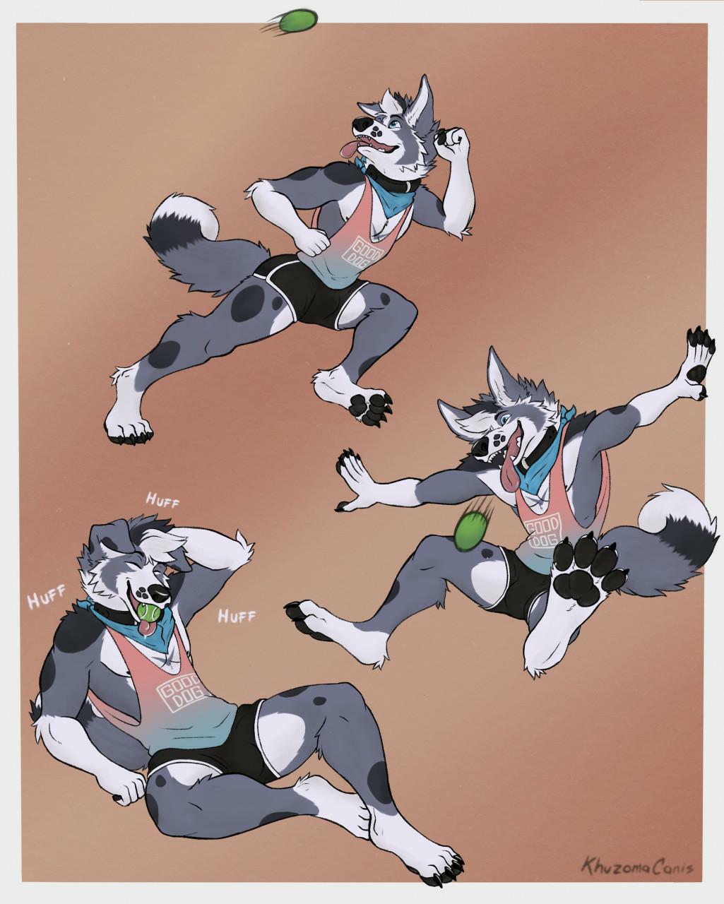 View Gallery Post ID 57 by creation-assets