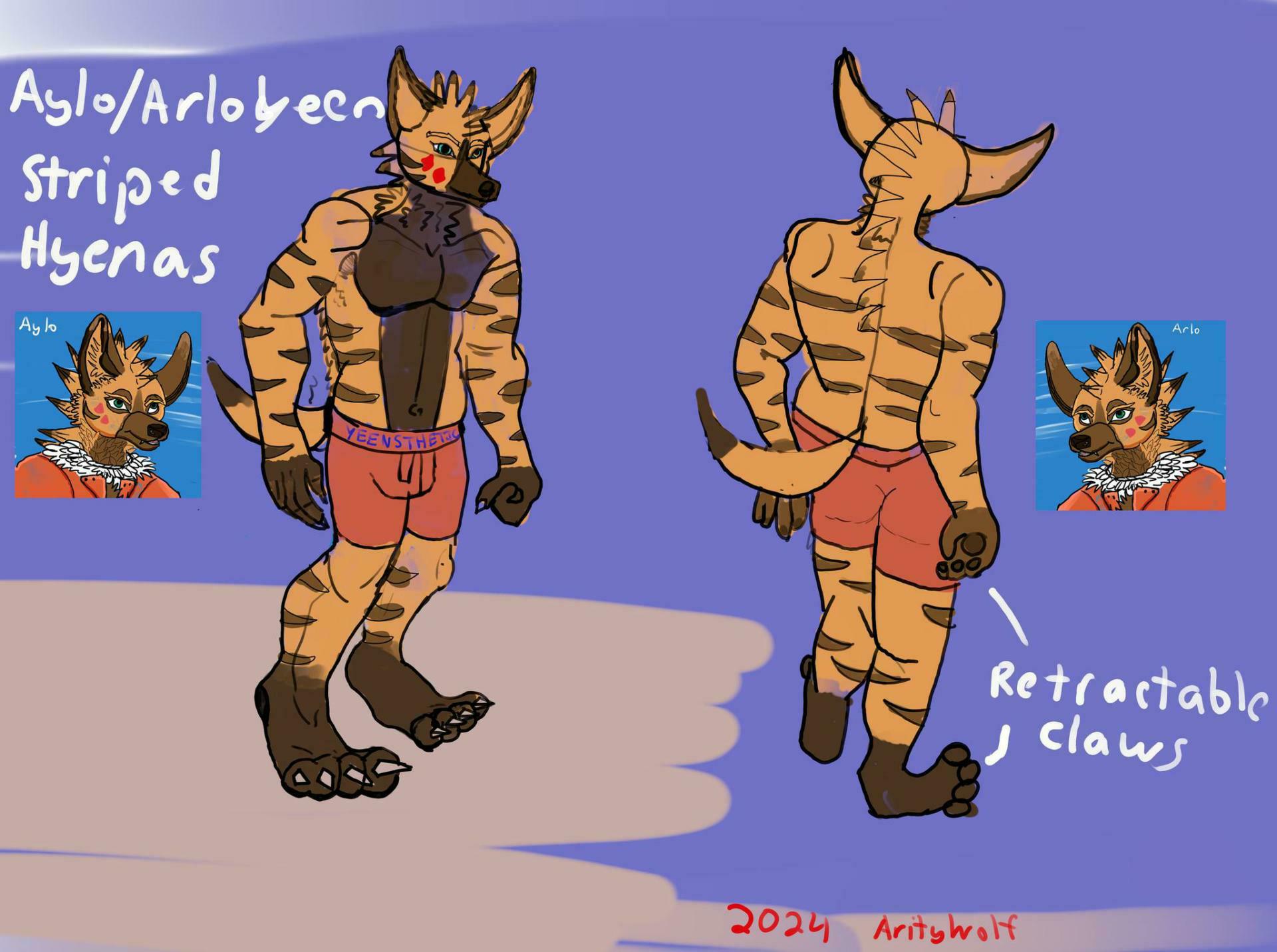 View Gallery Post ID 67 by creation-assets