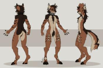 View creation-assets's Gallery