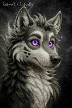 View creation-assets's Gallery