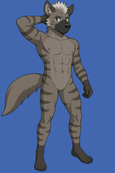 View creation-assets's Gallery