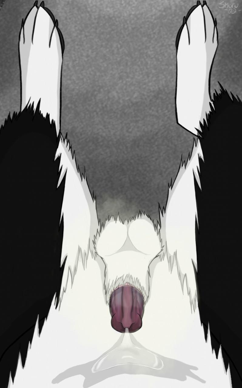 View Gallery Post ID 340 by infinivaeria
