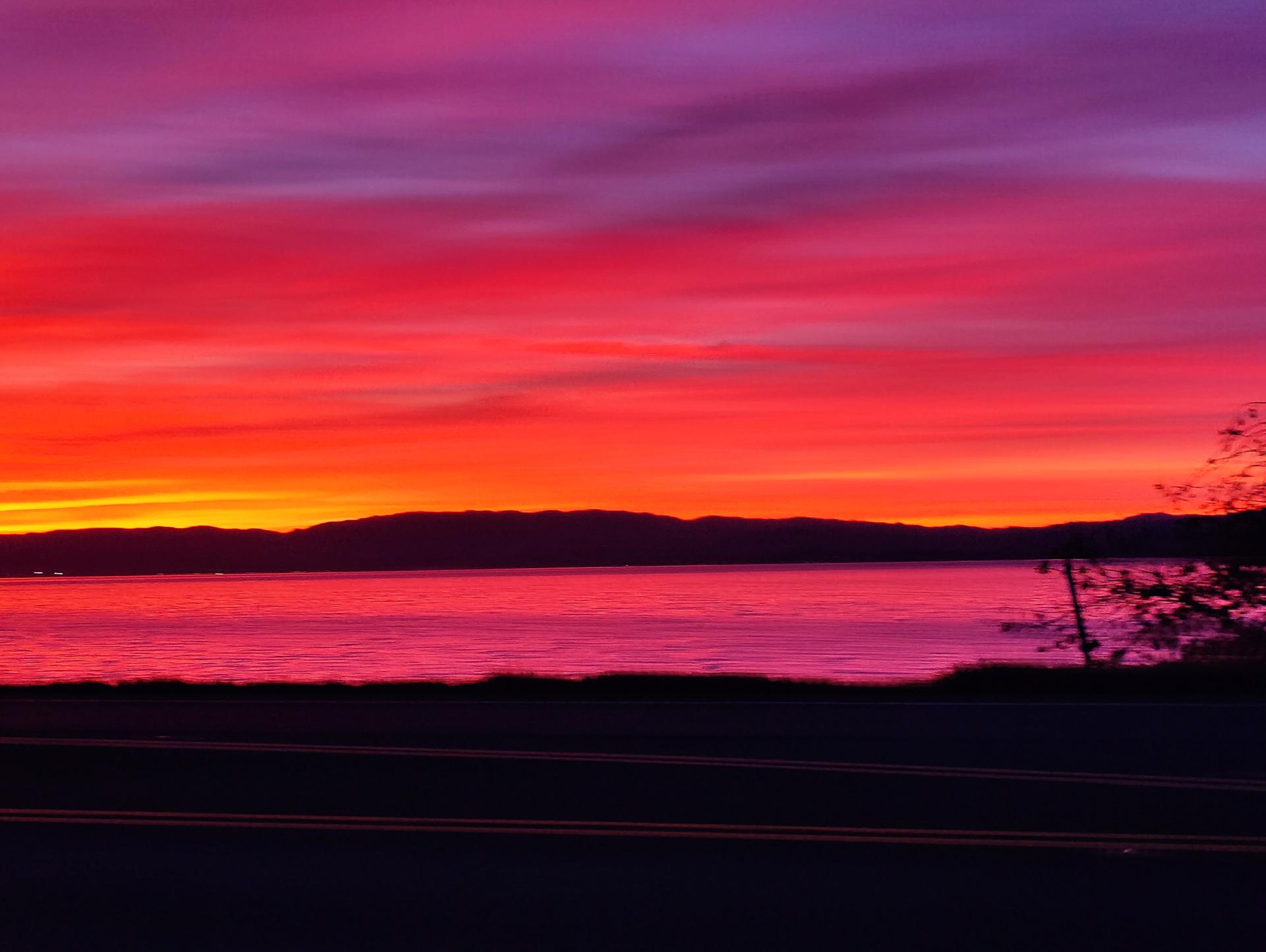 View Gallery Post ID 1127 by infinivaeria