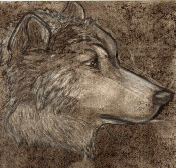 View infinivaeria's Gallery