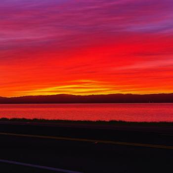 View infinivaeria's Gallery