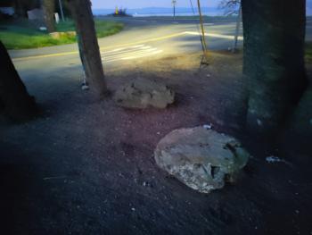 View infinivaeria's Gallery